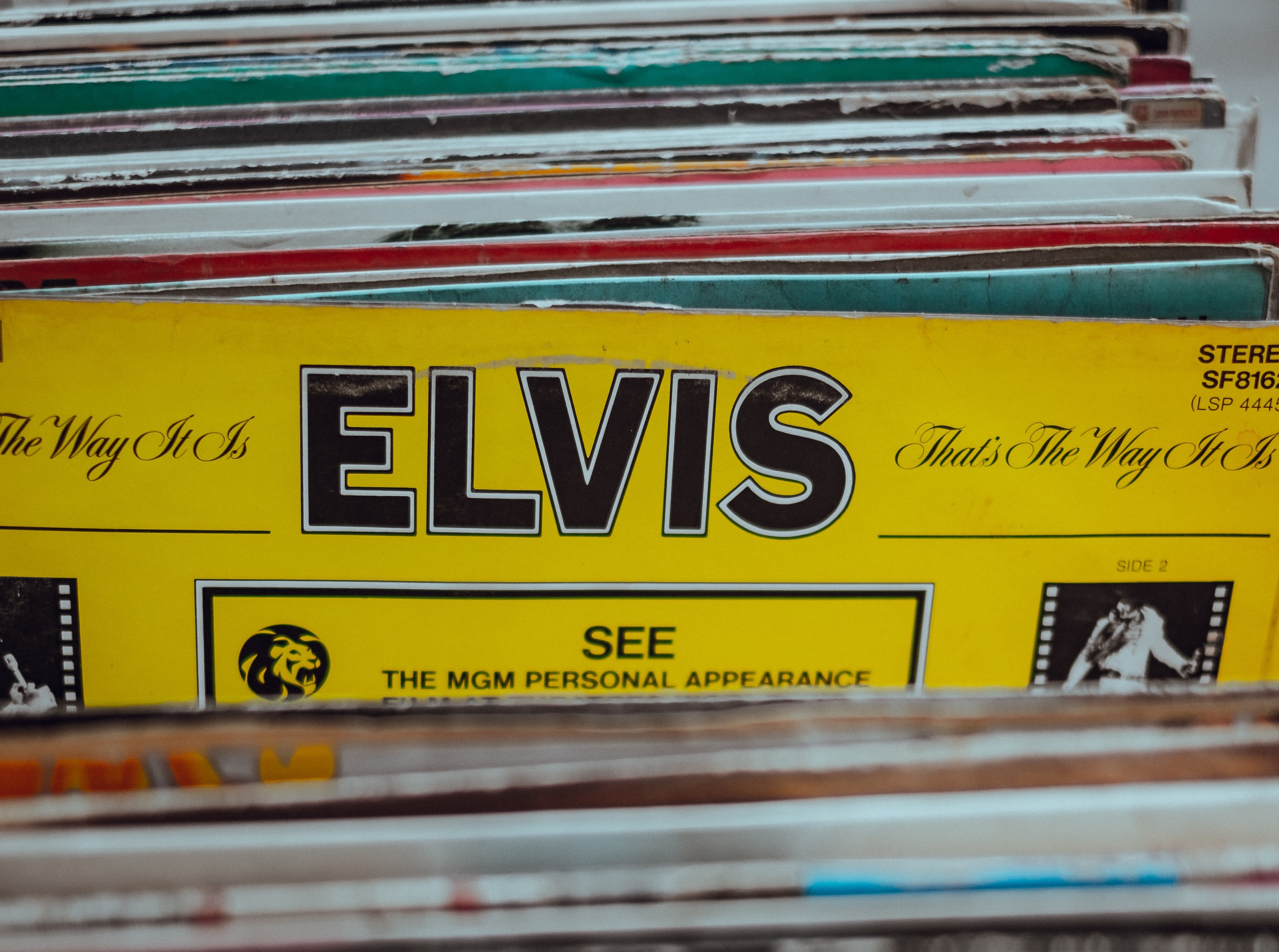 Elvis Tribute Fundraiser